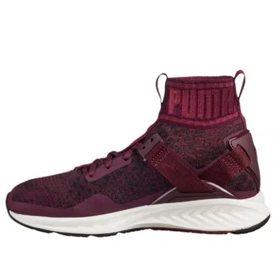 PUMA (WMNS) PUMA Ignite Evoknit 'Dark Red CMFT'
