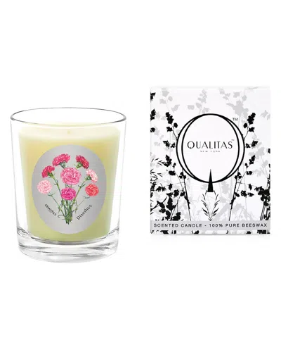 QUALITAS QUALITAS CANDLES DIANTHUS 6.5OZ CANDLE