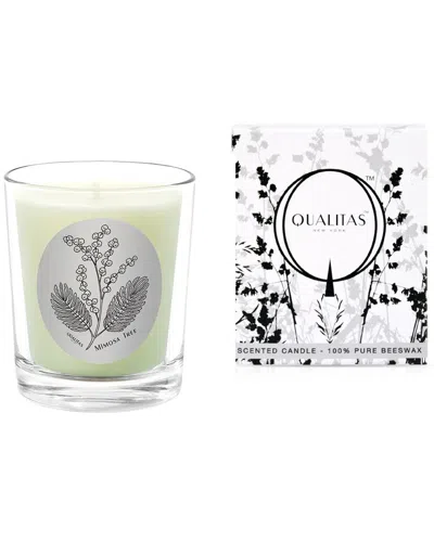 QUALITAS QUALITAS CANDLES MIMOSA TREE 6.5OZ CANDLE