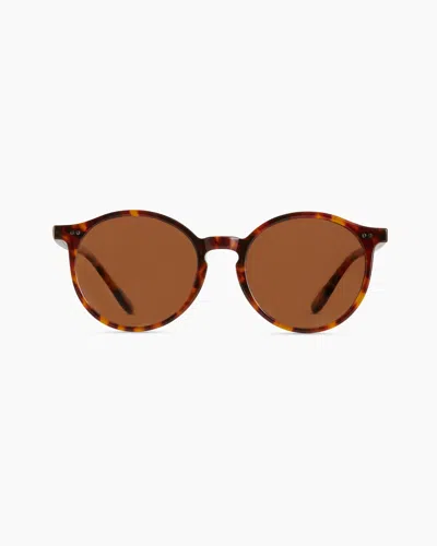 QUINCE BRIXTON POLARIZED ACETATE SUNGLASSES