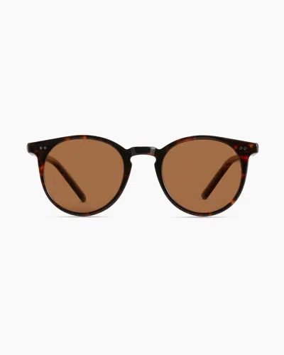 QUINCE NOAH POLARIZED ACETATE SUNGLASSES