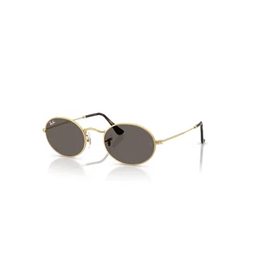RAY BAN OVAL FLAT LENSES SONNENBRILLEN ARISTA GOLD FASSUNG GRAU GLAS 51-21