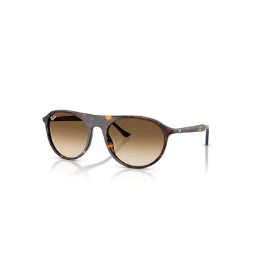RAY BAN RB2215 SONNENBRILLEN HAVANA FASSUNG BRAUN GLAS 56-20