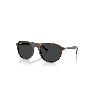 RAY BAN RB2215 SONNENBRILLEN HAVANA FASSUNG SCHWARZ GLAS POLARISIERT 56-20