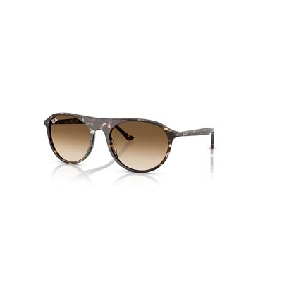 RAY BAN RB2215 SONNENBRILLEN HAVANA YELLOW TURTLE FASSUNG BRAUN GLAS 56-20