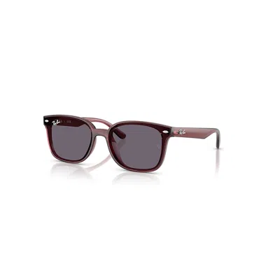 RAY BAN RB4461D SONNENBRILLEN DUNKELBRAUN TRANSPARENT FASSUNG VIOLETT GLAS 64-17