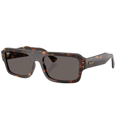 RAYBAN RAY BAN 4454 LUKAS SUNGLASSES BROWN