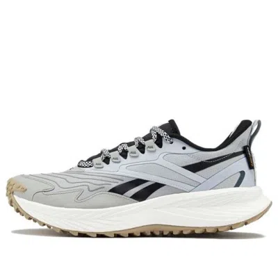 REEBOK (WMNS) Reebok Floatride Energy 5 Adventure 'Grey White'