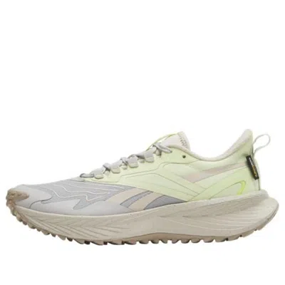 REEBOK (WMNS) Reebok Floatride Energy 5 Adventure 'Steely Fog Citrus Glow'
