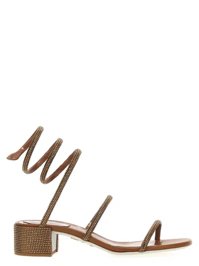 RENÉ CAOVILLA WOMEN BROWN CLEO SANDALS, 4.5 LUXURY SANDALS & FLOATERS FOR WOMEN DARVEYS
