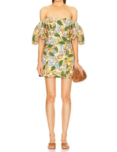 RHODE DALI MINI DRESS IN CAPRI ORCHARD ORANGE FLORAL