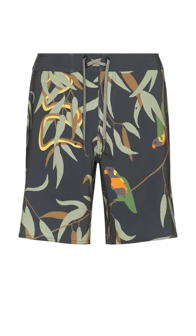 ROARK PASSAGE SWIM SHORT