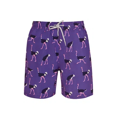 ROBERT & SON BEACHWEAR LTD MEN'S PURPLE OSTRICH- PINK & PURPLE