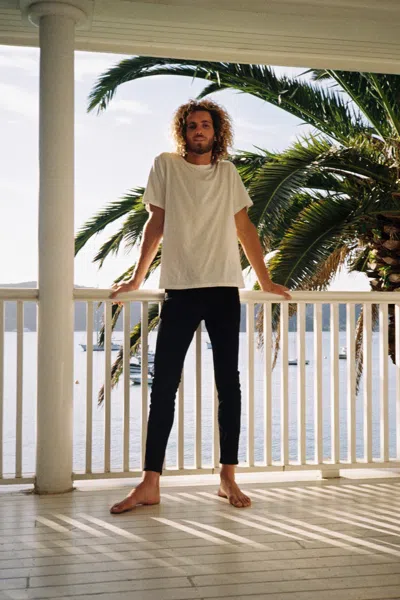 ROLLA'S STINGER BLACK GOLD