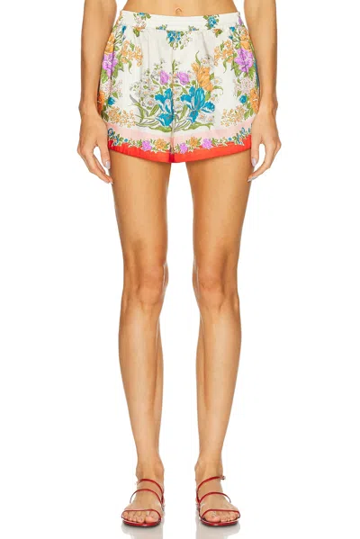 RONNY KOBO GABI SHORT