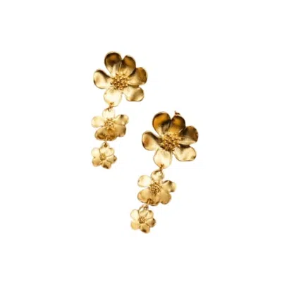 ROZ WOMEN'S ZAMBAK EARRINGS