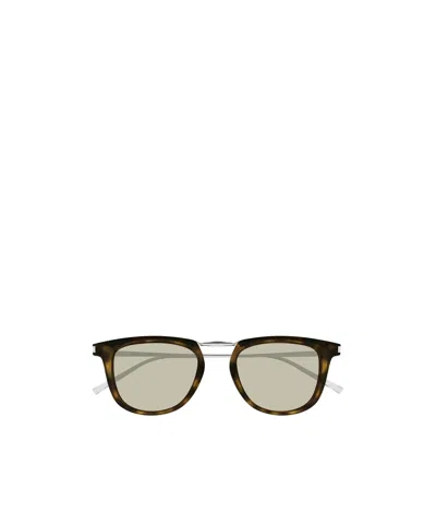 SAINT LAURENT SL 753 HAVANA