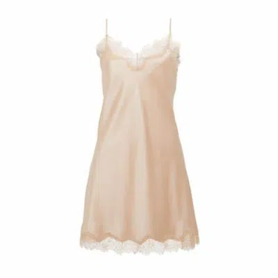 SAINTED SISTERS WOMEN'S NEUTRALS SAINTED SISTERS SCARLETT SHELL SHELL CHEMISE