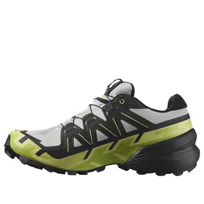 SALOMON Salomon Speedcross 6 Gore-Tex 'Gray Green Black'