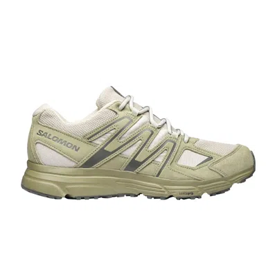 SALOMON X-MISSION 4 SUEDE 'TURTLEDOVE MOSS GREY'