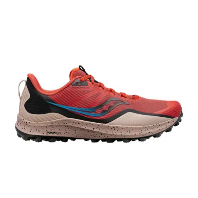 SAUCONY PEREGRINE 12 'CLAY LOAM'