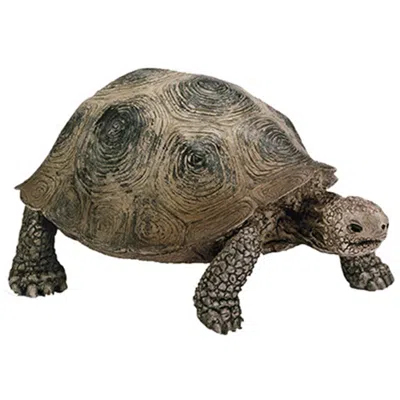 SCHLEICH NORTH AMERICA SCHLEICH NORTH AMERICA GIANT TURTLE -GREEN