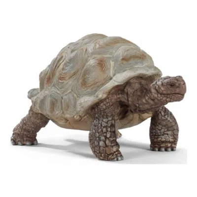 SCHLEICH PLASTIC WILD LIFE GIANT TORTOISE TOY BEIGE & BROWN - PACK OF 5