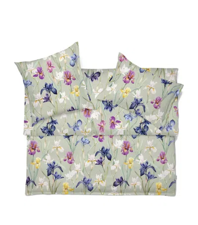 SCHLOSSBERG COTTON CHARLOTTE SUPER KING OXFORD PILLOW CASE