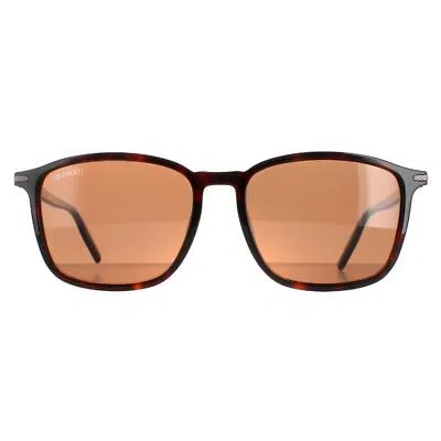 SERENGETI SERENGETI SUNGLASSES LENWOOD 8933 SHINY DARK HAVANA MINERAL POLARIZED DRIVERS