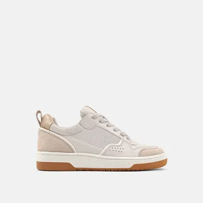 SHU SHOP WOMEN'S ROMI FASHION SNEAKER IN TAUPE SUEDE