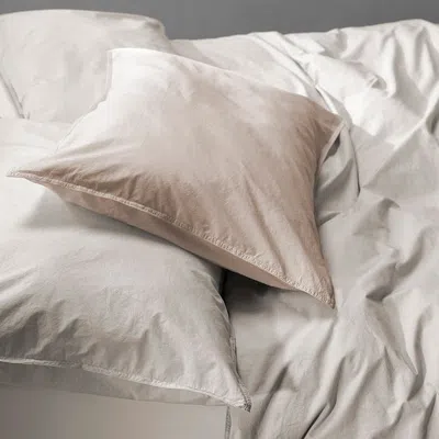 SOCIETY LIMONTA NITE COTTON PILLOWCASE PAIR, KING