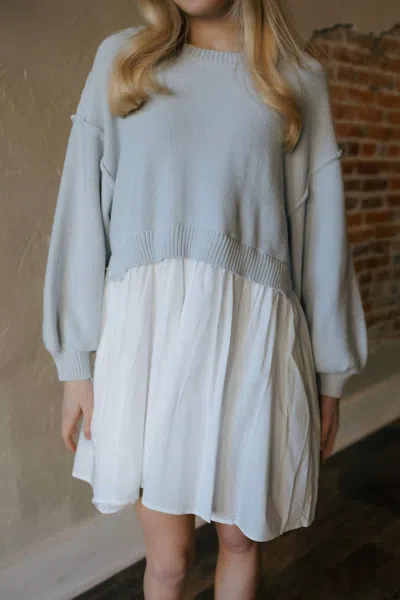 SOFIE THE LABEL ISABEL DRESS IN BLUE WHITE