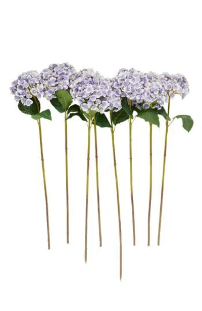 SONOMA SAGE HOME SONOMA SAGE HOME SET OF EIGHT PURPLE HYDRANGEA ARTIFICIAL FLOWERS