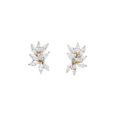 STEPHANIE BROWNE AUSTRALIA WOMEN'S TWILIGHT EARRINGS - GOLD