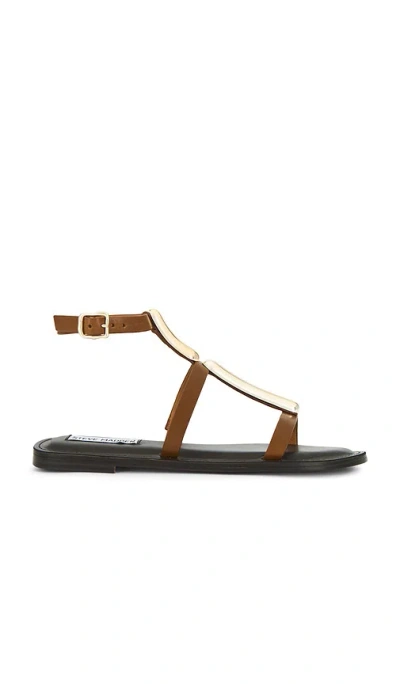 STEVE MADDEN ALMA SANDALS