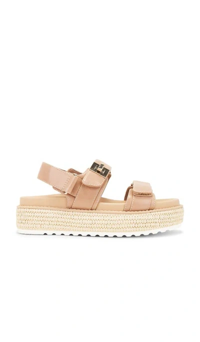 STEVE MADDEN BIGMONA SANDAL