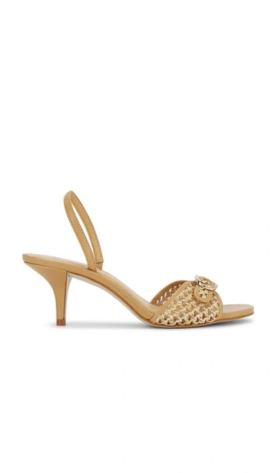STEVE MADDEN HENRIETTA SANDAL