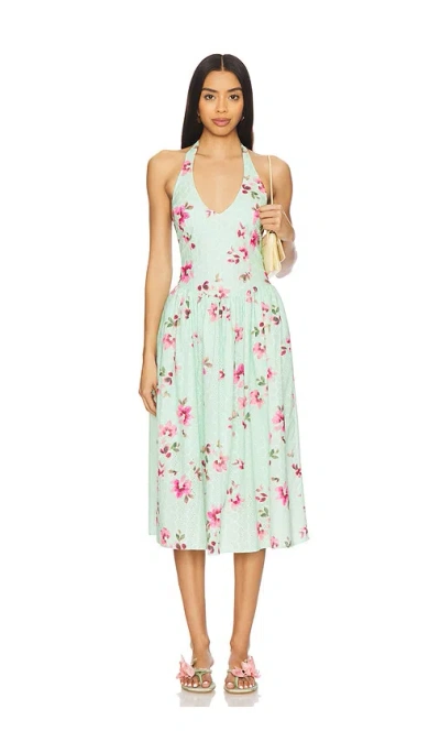 STEVE MADDEN RESSI DRESS