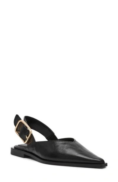STEVE MADDEN STEVE MADDEN SHAY POINTED TOE SLINGBACK FLAT