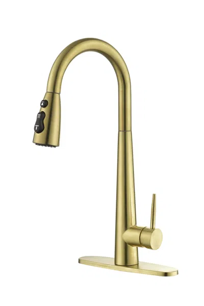 STREAMDALE FURNITURE STREAMDALE GOLD KITCHEN FAUCETS WITH PULL DOWN SPRAYER, KITCHEN SINK FAUCET