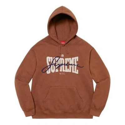 SUPREME Supreme Embroidered Chenille Hooded Sweatshirt 'Brown White'