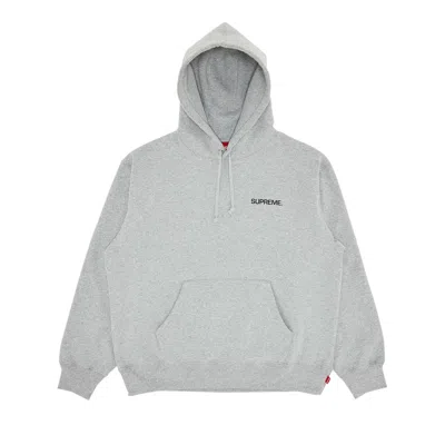 SUPREME SUPREME IMMORTAL HOODED SWEATSHIRT 'HEATHER GREY'