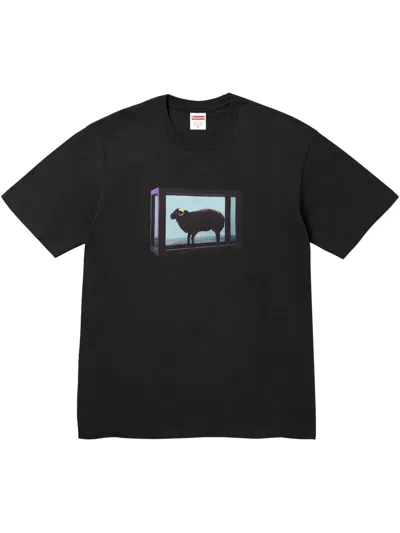 SUPREME X DAMIEN HIRST PRINTED T-SHIRT