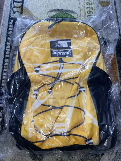 SUPREME X THE NORTH FACE SUPREME TNF PRINTED BOREALIS TROMPE L’OEIL BACKPACK