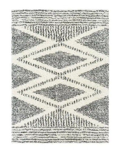 SURYA SURYA DELUXE SHAG GLOBAL RUG