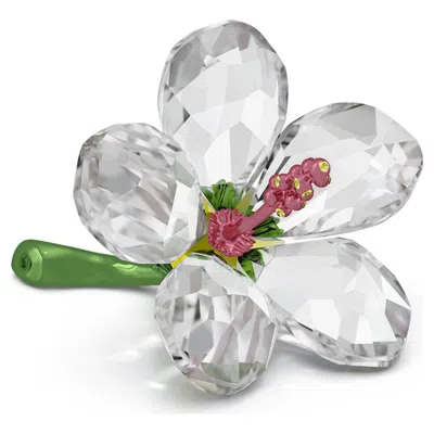 SWAROVSKI FLORERE HIBISKUS