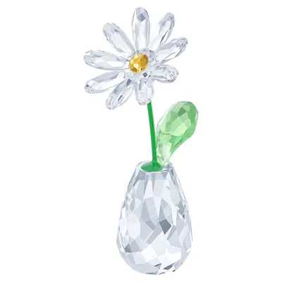 SWAROVSKI FLOWER DREAMS MARGERITE
