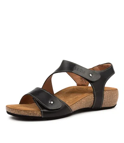 TAOS TAOS LOVELY CAMEL LEATHER WOMENS SHOES COMFORT SANDALS SANDALS FLAT