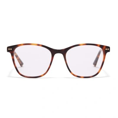 TAYLOR MORRIS EYEWEAR TM039-C2