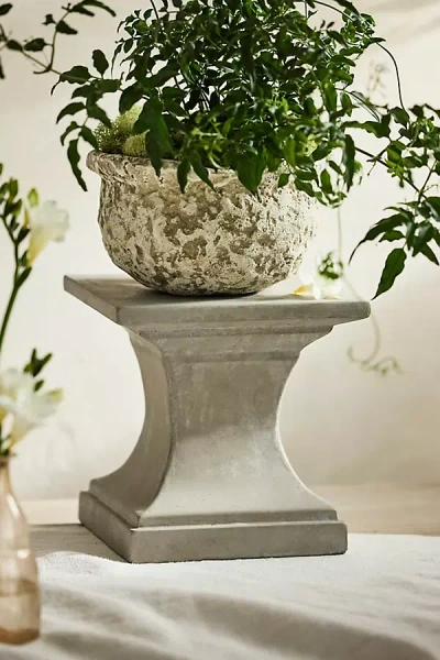 TERRAIN CEMENT PEDESTAL PLANT STAND, SQUARE